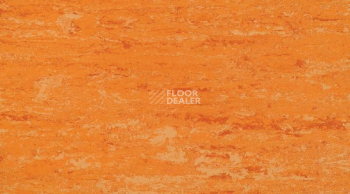 Линолеум Gerflor Linodur Sport 1072 Peach Orange фото 1 | FLOORDEALER